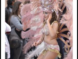 Carnaval de Mula 2014